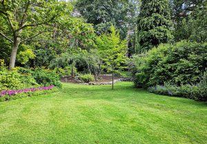 Optimiser l'expérience du jardin à Champclause